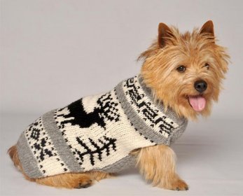 Pet Apparel & Accessories reindeer-shawl-1-720x555-ok.jpg