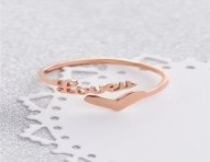 cod.340-ring.jpg