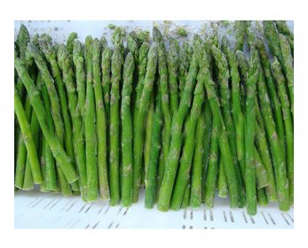 Frozen Food Frozen_Green_Asparagus_IQF-1.jpg