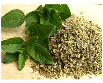 oregano-321037_640-5.jpg