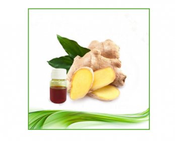 Natural-Ginger-CO2-Extract-Oil-Ginger-Oil-Food-Additive-1.jpg
