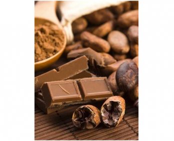 cocoa-cacao-beans-with-chocolate-10.jpg