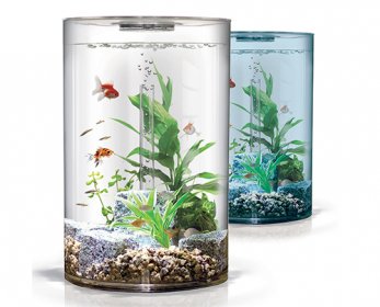 Aquarium-ok.jpg