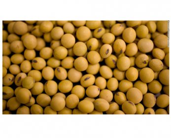 140131153345-01-gmo-horizontal-large-gallery-15.jpg