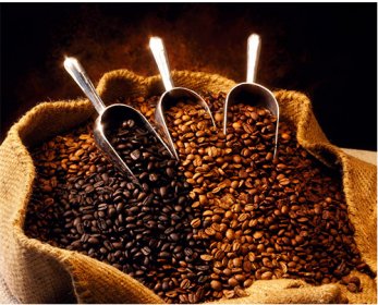 Organic coffee bean Organic_Coffee_Bean_Sack-4.jpg