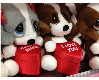 Valentine-Day-gift-animals-ok.jpg