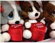 Valentine-Day-gift-animals-ok.jpg