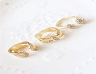 cod.333-ring.jpg
