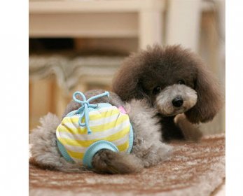Female-Pet-Dog-Puppy-Sanitary-Cute-Short-Dog-Panty-Pant-Striped-Diaper-Underwear-For-Free-Shipping-ok.jpg