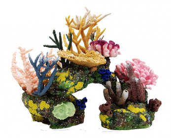 Aquariums & Accessories Aruba-1-ok.jpg
