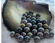 black-pearls-2-1200-ok.jpg