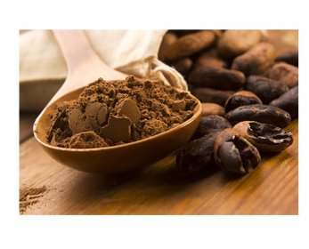 Cocoa cacao-11.jpg
