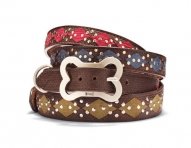 2-dog-shrink-collars-0707_xlg-ok.jpg
