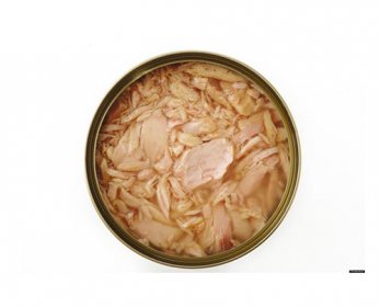 Tuna-in-vegetable-oil-1.jpg