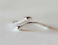 cod.334-ring.jpg