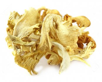 11506510-Dried-oyster-mushroom-over-white-background-Stock-Photo-9.jpg