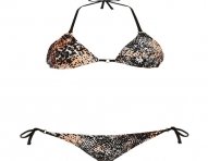 cod.093-bra.jpg
