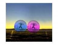 color-zorbing-ball-manufacturers-mumbai-india-ok.jpg
