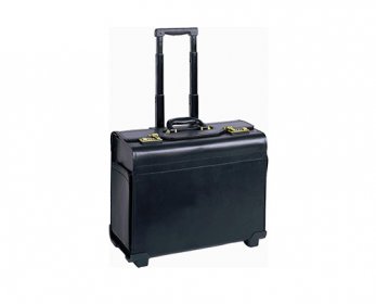 Leather Luggage 1.jpg