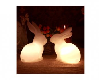 Other Gifts & Crafts Lucky-rabbit-home-decoration-electronic-unique-gift-a-pair-of1-300x300-ok.jpg
