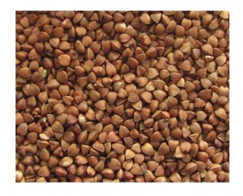 Crop roasted buckwheat 2011_new_crop_roasted_buckwheat_groats-8.jpg