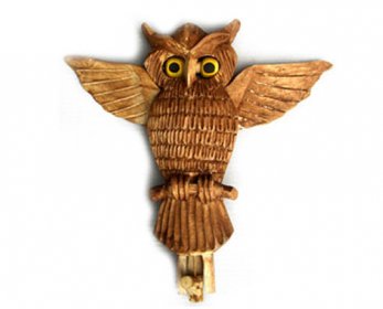 owl-nlk01-ok.jpg
