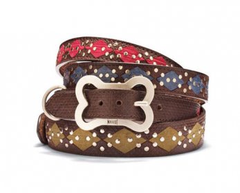 Pet Collars & Leashes 2-dog-shrink-collars-0707_xlg-ok.jpg